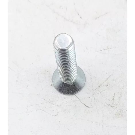 Vis mandrin perceuse Dedra universelle résistante corrosion