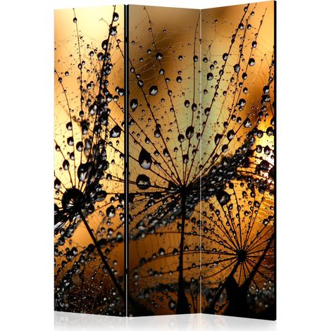 Paravento - Dandelions in the Rain [Room Dividers] - 135x172 (1/4)