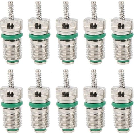 10 Pièces Noyau De Valve De Climatisation, R134a Pièce De Climatisation Automobile Noyau De Valve Kit De Noyau De Valve De Climatisation pour La Plupart des Voitures
