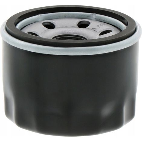 FILTRE À HUILE 3/4x16 UNF BRIGGS STRATTON POUR TONDEUSES ET TRACTEURS 492932 696854
