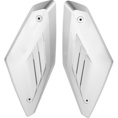 de 2 protections de remplacement pour prise d air latérale (1/5)
