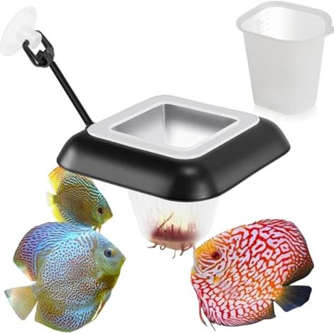 3 en 1 Distributeur Nourriture Poisson Anneau de Nourriture Flottant (1/5)