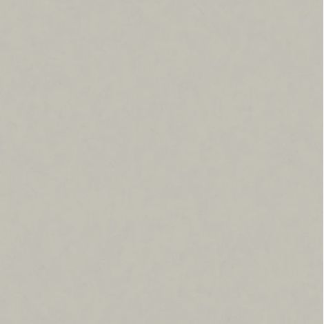 Papier peint uni AS Création Unitapete New Life, intissé, gris taupe, 10,05 m x 0,53 m (1/5)