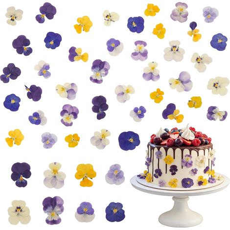 Fiori di viola del pensiero decorativi essiccati naturalmente, 40 pezzi. Fiori commestibili per cocktail, lavori creativi fai da te, decorazione di cupcake e torte, produzione di candele. (1/5)