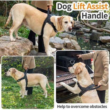Harnais pour chien réglable avec poignée de levage, gilet de sécurité réfléchissant et confortable pour promenades et éducation, résistant et ajustable pour toutes tailles