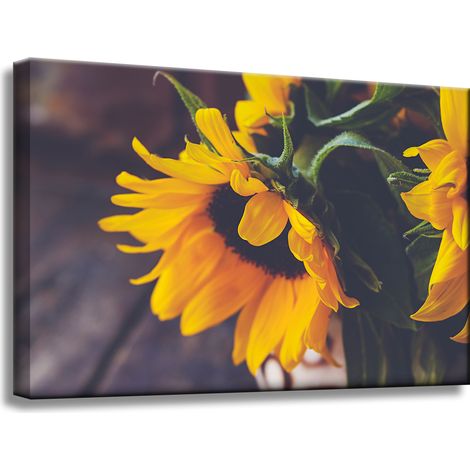 Leinwanddruck Botanik Sonnenblumen 60x40 cm