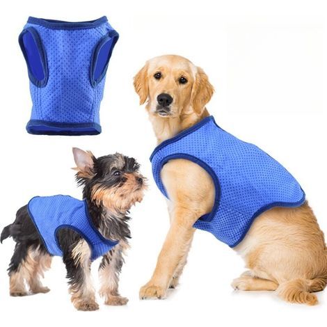 [JAMAIS UTILISÉ] Gilet cool pour chien (1/4)