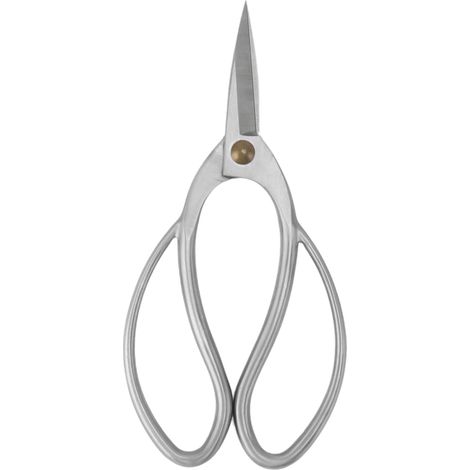 Ciseaux de taille de bonsaï de 195mm, en acier inoxydable, outil de cisaille pour plantes de jardinage, argent