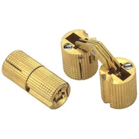 10 Pcs Charnières Cylindriques en Laiton,Caché Charnière Invisible Tonneau pour DIY Porte en Bois Armoire Caravane,8 mm (1/4)