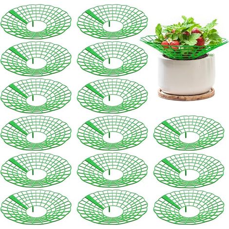 Stand de culture de fraises amovibles: 15 pièces Fraises vertes - Protection contre la poussière et les escargots Protection des plantes de fraises (1/5)