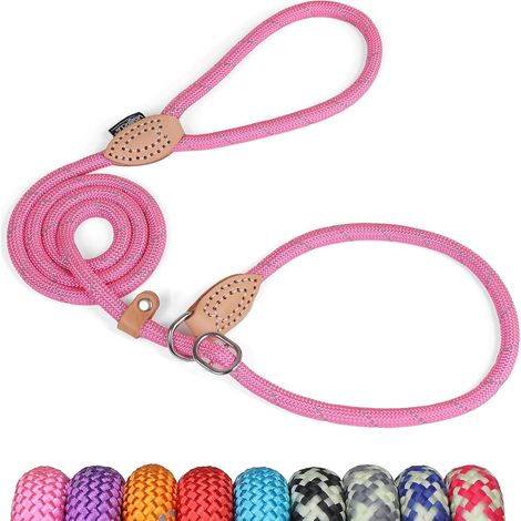 Grand Line Laisse Lasso pour Chien 150 cm Coulissante de Dressage avec Frein, Réfléchissant Etrangleur pour Chiot, Petits, Moyens, Grands Chien (10mm, Rose) (1/5)
