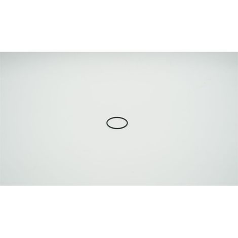 BWT O-Ring für Filtertasse E1, 1-904441