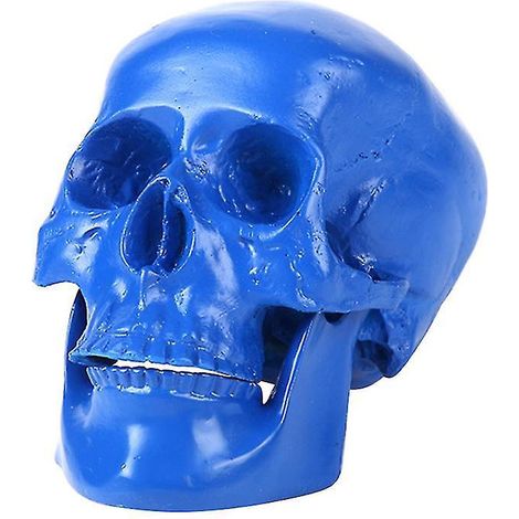 1 Totenkopfmodell für Halloween-Dekorationen