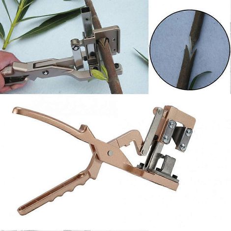 Sécateur, sécateur pour arbres fruitiers, sécateur à branches, cisaille à plantes, ciseaux, outils de jardinage, ciseaux à greffer (1/5)