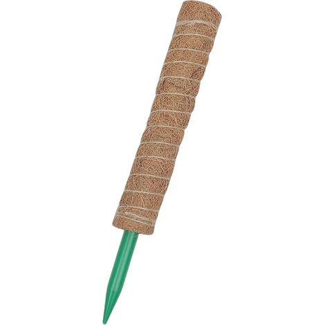 Bastones De Musgo Para Plantas Trepadoras Fibra De Coco P (1/5)