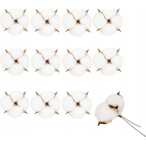 COTONE FIORI DI COTONE RAMO ESSICCATO 12pcs RAMI NATURALI ESSICCATI FIORI (1/5)