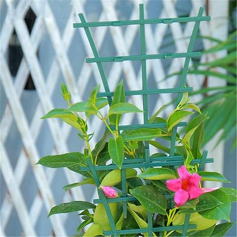 Support pour plante grimpante, pergola, tige fixe, plante en pot (1/4)