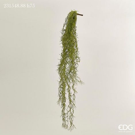 EDG Enzo De Gasperi Tillandsia West Cadente H 75 Cm Pianta Artificiale Verde Salvia