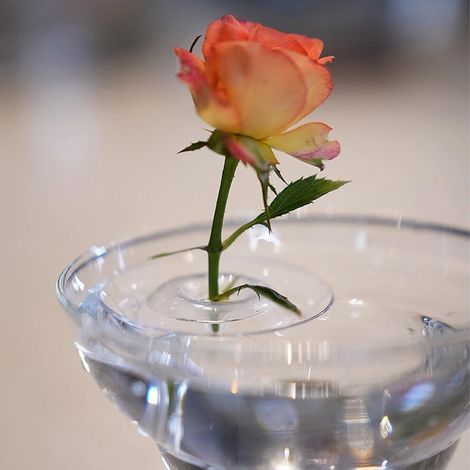 Support transparent flottant pour composition florale, 50 x 20 mm