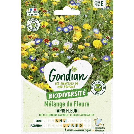 Gondian - Melange de fleurs Taois Fleuri (1/2)