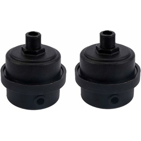 BUNTHAUS Lot de 2 filtres silencieux pour compresseur d'air en plastique avec élément filtrant 1/4\" PT 12 mm (1/5)