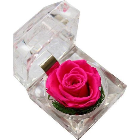 Geschenk für die Freundin (1/3)