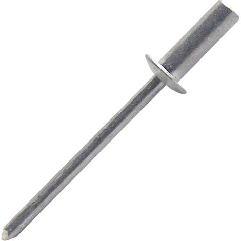 500 rivets aveugles étanches alu/alu TP, D. 4.8 x 10 mm - WHD4809-BC - Scell-it (1/5)