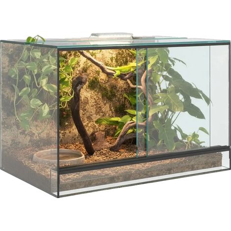 Terrario, diseño transparente, construcción de vidrio resistente, transparente (1/2)