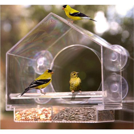 Mangeoire à Oiseaux pour Fenêtre Transparente avec Ventouses Puissantes et Plateau Coulissant Suspendu pour Extérieur Jardin Jardinage Maison (1/5)