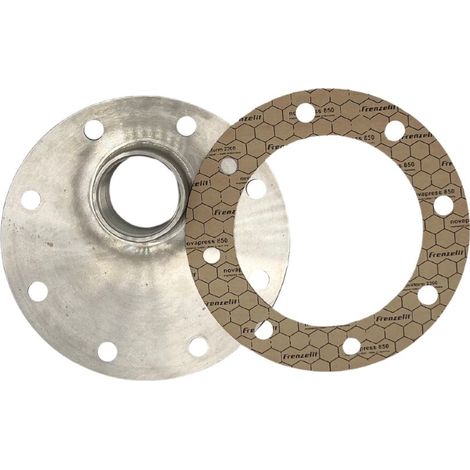 Flanschplatte 8-Loch 180 mm 1 1/2 Zoll IG Dichtung Elektroheizer Edelstahl