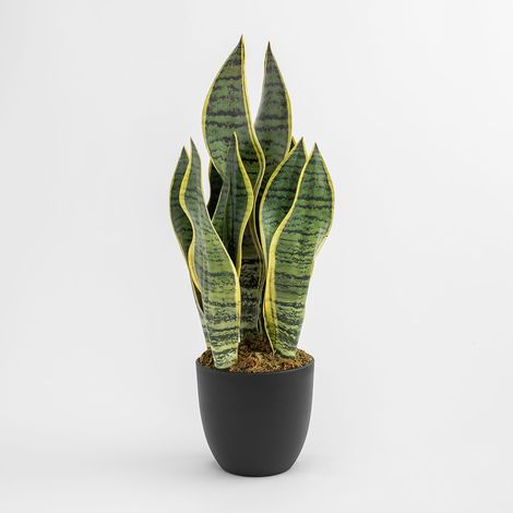 Pianta Artificiale Decorativa Sansevieria 40 cm SKLUM            