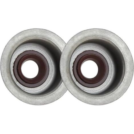 Lot de 10 Joints de Soupape Moteur Haute Température(2PCS)
