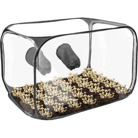 Tente de Culture 60x60x90 cm, Boîte et Serre de Culture Portable Étanche Tente de Plantation pour Champignons Ensemble de Culture de Champignons Sac de Culture (1/5)