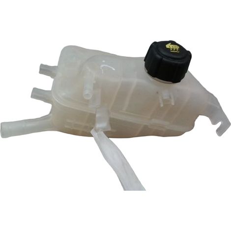 Vase Expansion RENAULT Grand Scenic Monosp. III Phase 1 Long 2009-2011 [PRODUIT D'OCCASION]♻️217100005r (1/3)