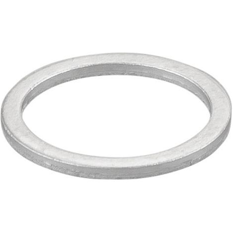Dichtring 060181