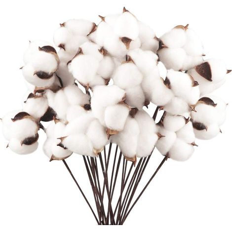 Lot de 20 fleurs de coton naturel séchées, tiges artificielles, branches décoratives pour balcon, maison, table, composition florale (1/5)
