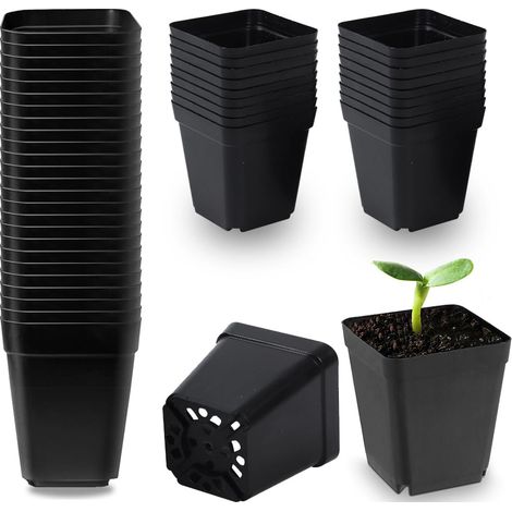 Lot de 50 pots de fleurs carrés en plastique noir de 5,5 cm pour plantes succulentes, semis, boutures, repiquage (1/5)