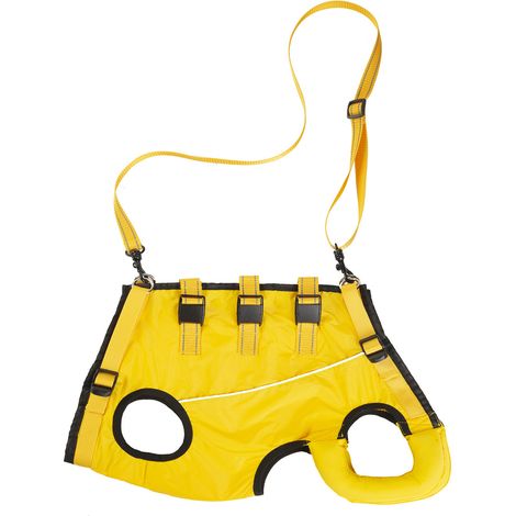 1 Ceinture d'assistance pour chien âgé, soutien pattes arrière, aide marche difficile, matériel durable, extérieur intérieur (1/5)