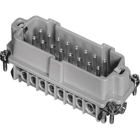 Amphenol C146 10A016 002 1-1 Inserto maschio Heavymate® C146 Tot poli 16 + PE 1 pz.