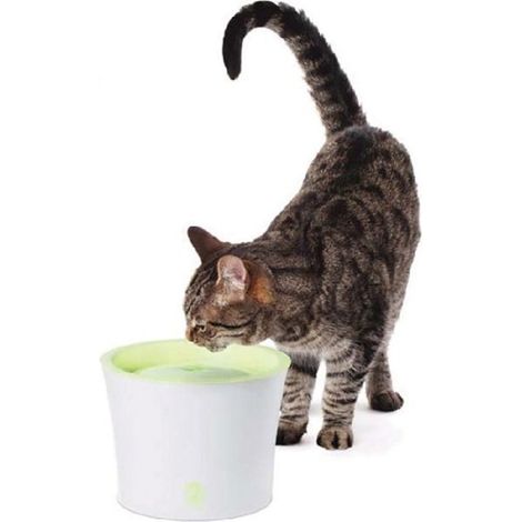 Hagen Cat IT Trinkbrunnen Weiß und Grün 3L
