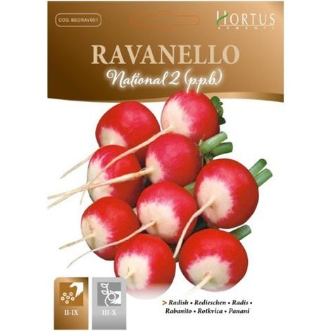 Ravanello National 2 P.P.B. Gran Raccolto