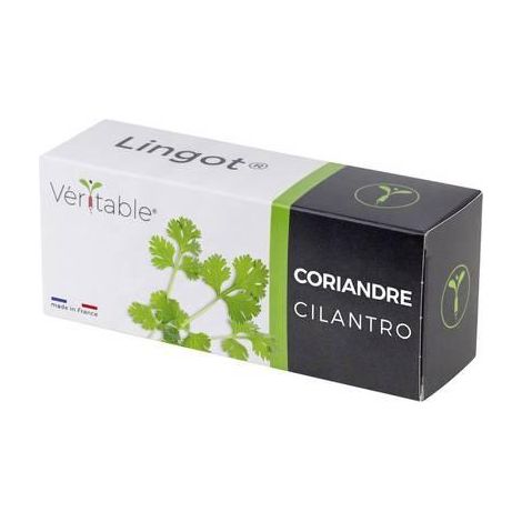 Ricarica di coriandolo Véritable per giardino interno verde (1/3)