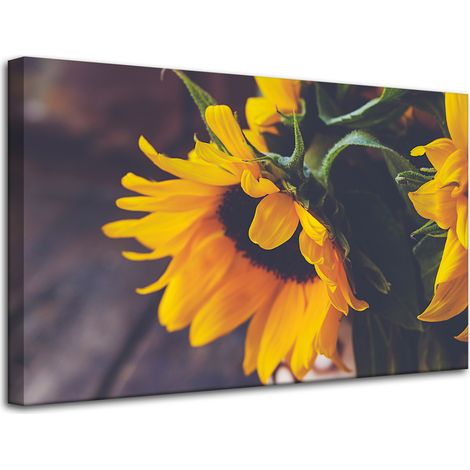 Leinwanddruck Botanik Sonnenblumen 80x50 cm