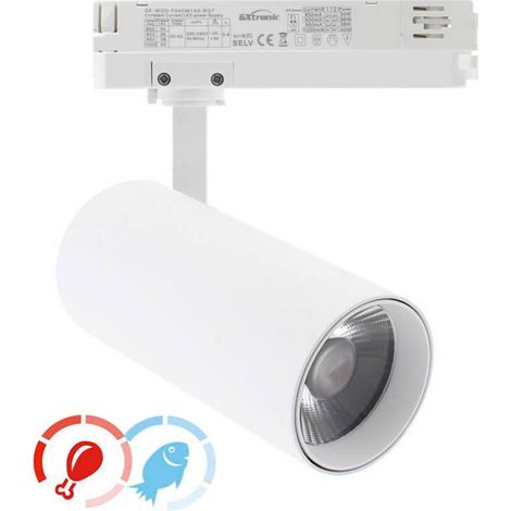Foco carril Trifásico CRONOLUX, 40W-30W, blanco, 38º, UGR13, DUAL Carnes y Pescados, Magenta-Azul (1/4)