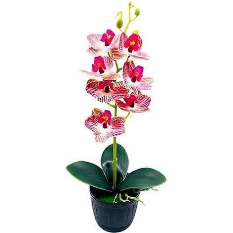 Orchidée artificielle en pot, présentoir en plastique aspect naturel, plante en pot décorative.rose rouge (1/5)