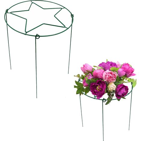 Toivize-Tuteur Plante - Fer Forgé - Vert - 30x45cm - Support Escalade pour Clématites & Liserons - Design Étoile Robuste Intérieur Extérieur (1/5)
