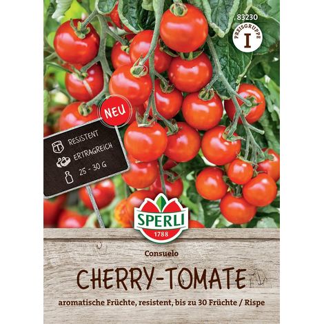 Sperli – Tomate cerise Consuelo F1 – Graines de légumes, fruits de 25 à 30 g, hauteur env. 200 cm, pour env. 7 plantes (1/2)
