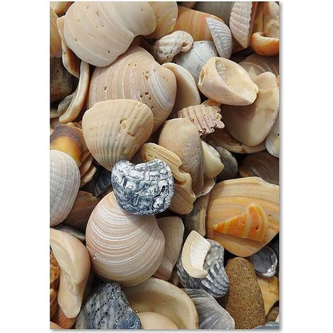Tableau coquille 2 - 70 x 100 cm (1/4)