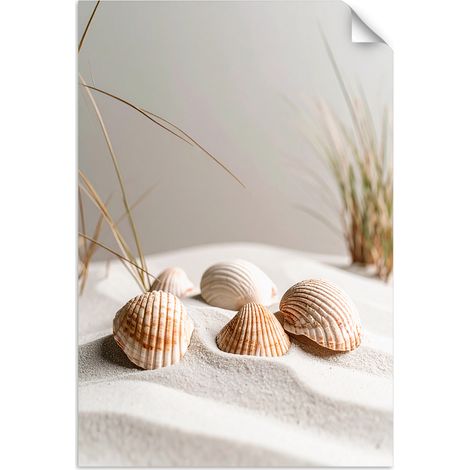 Autocollant Film Coquillages plage plantes nature beige 40x60 (1/3)