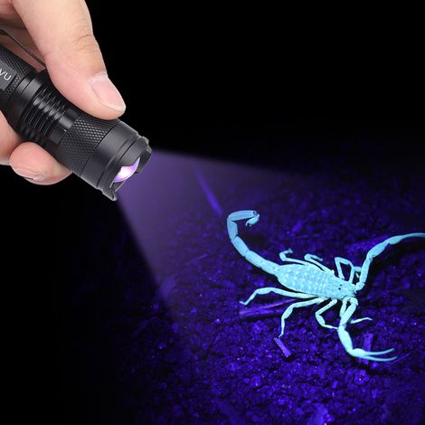 Ultra-LED-UV-Taschenlampe, Schwarzlicht-Inspektionslampe, 395 nm